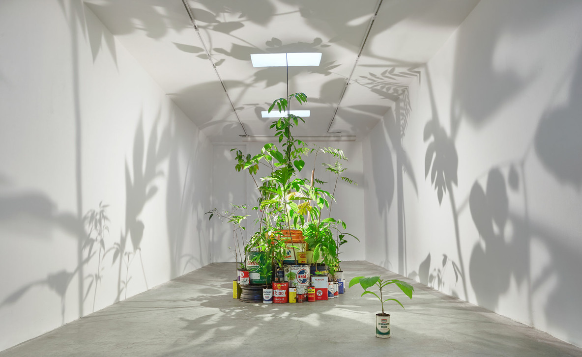 Adrián Balsdeca. PLANTASIA OIL Co. 2021