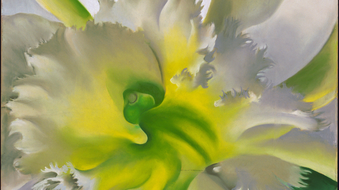 Georgia O&#39;Keeffe. An Orchid. 1941. Pastel on paper mounted on board, 27 5/8 x 21 3/4&#34; (70.2 x 55.2 cm). Bequest of Georgia O&#39;Keeffe