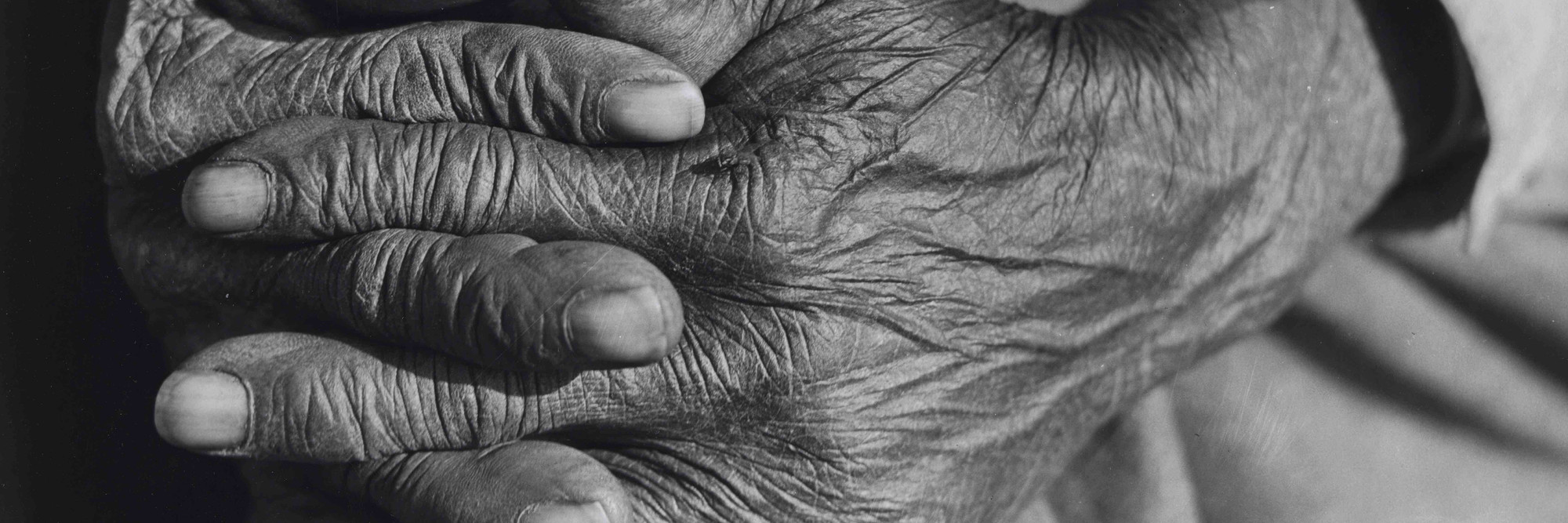 Jack Delano. Hands of Mr. Henry Brooks, ex-slave. Parks Ferry Road, Greene County, Georgia. May 1941. Gelatin silver print, 10 11/16 × 13 3/4 in. (27.2 × 34.9 cm). The Museum of Modern Art, New York. Purchase. © Jack Delano/Library of Congress