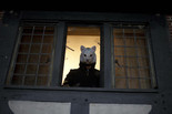 You’re Next. 2011. USA. Directed by Adam Wingard. © Lionsgate. Courtesy Photofest