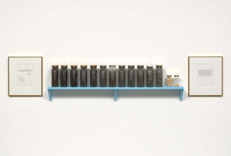 Adrian Piper. What Will Become of Me. 1985–ongoing. Framed text, glass jars, shelf, hair, fingernails, and skin, dimensions variable. Gift of Gwen and Peter Norton. © 2022 Adrian Piper