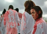 Grave (Raw). 2016. France/Belgium. Written and directed by Julia Ducournau. Courtesy of Photofest