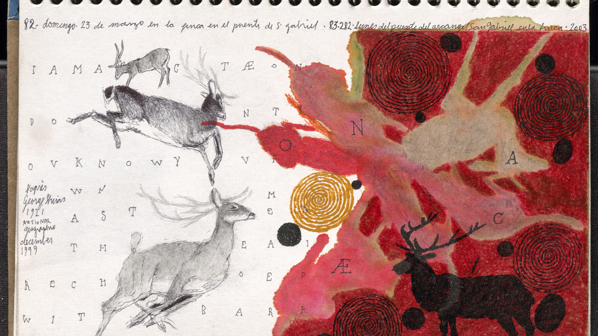 José Antonio Suárez Londoño. Metamorphoses Ovid I (Metamorfosis Ovidio I). 2003. One of three notebooks with pencil, ink, watercolor, gouache, paint, crayon, thread, insect wings, and collage additions, 6 3/4 × 9 × 1&#34; (17.1 × 22.9 × 2.5 cm). Promised gift of Patricia Phelps de Cisneros through the Latin American and Caribbean Fund in honor of Luis Enrique Pérez-Oramas