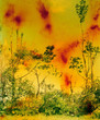 Wolfgang Tillmans. Icestorm. 2001. © Wolfgang Tillmans, 2022. Image courtesy the artist; David Zwirner, New York/Hong Kong; Galerie Buchholz, Berlin/Cologne; Maureen Paley, London