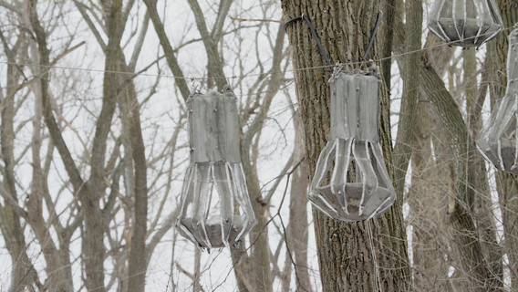 Joyce Hwang. Bat Cloud. 2012–present