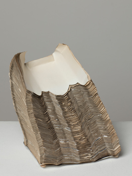 Jac Leirner. Lung (Pulmão) (Vegetal/Mineral). 1987