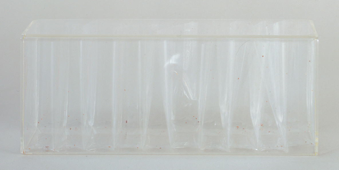 Jac Leirner. Lung (Pulmão). 1987