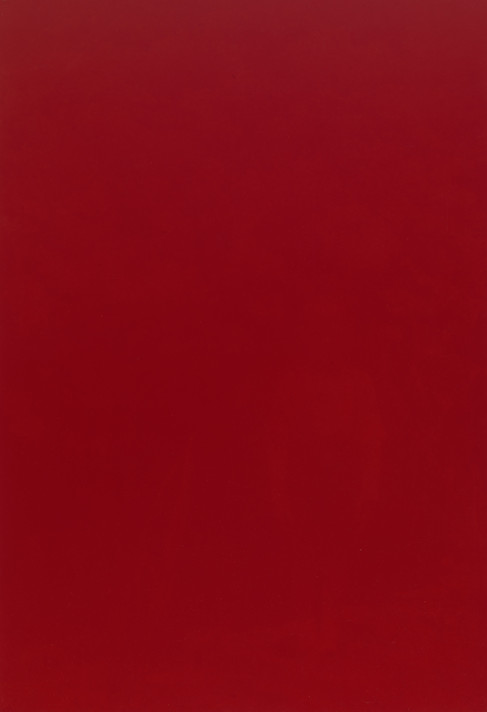 Rosângela Rennó. Untitled (red boy). 1996