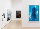 Installation view of Wolfgang Tillmans: To look without fear, on view at The Museum of Modern Art, New York from September 12, 2022 – January 1, 2023. Photo: Emile Askey