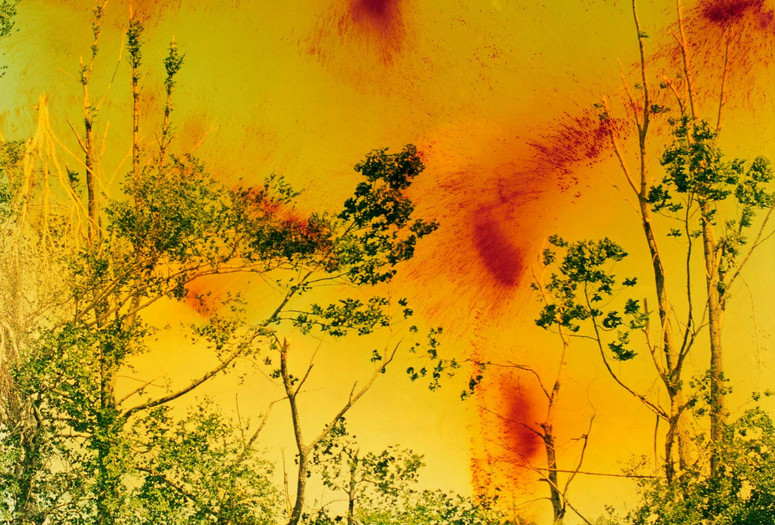 Wolfgang Tillmans. Icestorm. 2001. © Wolfgang Tillmans, 2022. Image courtesy the artist; David Zwirner, New York/Hong Kong; Galerie Buchholz, Berlin/Cologne; Maureen Paley, London