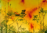 Wolfgang Tillmans. Icestorm. 2001. © Wolfgang Tillmans, 2022. Image courtesy the artist; David Zwirner, New York/Hong Kong; Galerie Buchholz, Berlin/Cologne; Maureen Paley, London