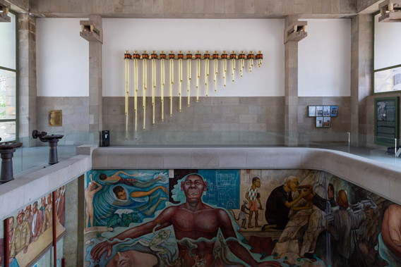 Ariel Guzik. Cámara Lambdoma (interior). 2010