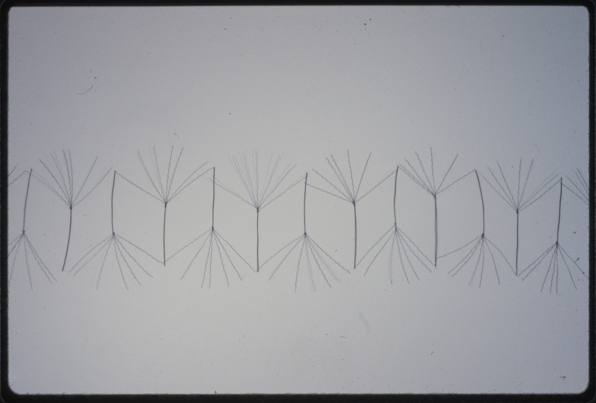 *Consolation* (after *Palmetto* [1980])