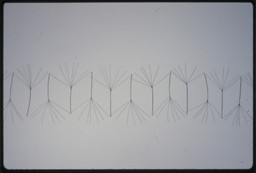 Consolation (after Palmetto [1980])