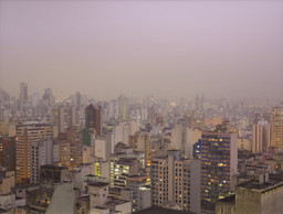Suwon Lee. Purple Haze. 2011. Inkjet print, 36 1/4 × 47 1/4&#34; (92 × 120 cm). Gift of Patricia Phelps de Cisneros through the Latin American and Caribbean Fund in honor of Clara Rodríguez-Cisneros. © 2023 Suwon Lee