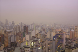 Suwon Lee. Purple Haze. 2011. Inkjet print, 36 1/4 × 47 1/4&#34; (92 × 120 cm). Gift of Patricia Phelps de Cisneros through the Latin American and Caribbean Fund in honor of Clara Rodríguez-Cisneros. © 2023 Suwon Lee