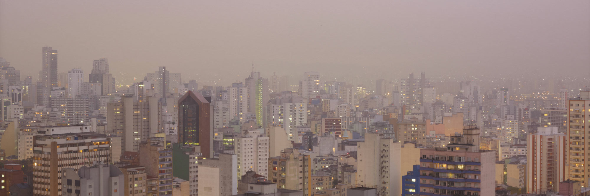 Suwon Lee. Purple Haze. 2011. Inkjet print, 36 1/4 × 47 1/4&#34; (92 × 120 cm). Gift of Patricia Phelps de Cisneros through the Latin American and Caribbean Fund in honor of Clara Rodríguez-Cisneros. © 2023 Suwon Lee
