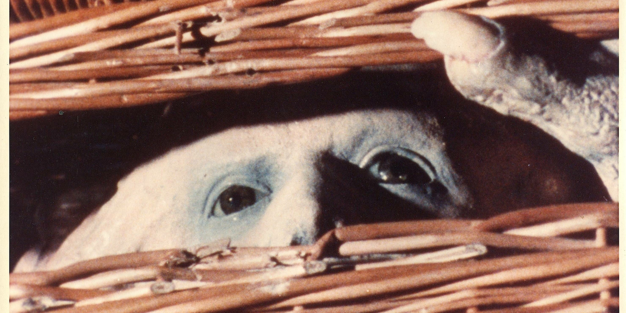 Basket Case. 1982. USA. Directed by Frank Henenlotter. The Museum of Modern Art, New York