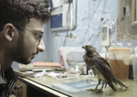 All That Breathes. India/Great Britain/USA. Directed by Shaunak Sen. Courtesy Sideshow/Submarine Deluxe/HBO Documentary Films