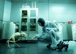 Splice. 2009. US/Canada. Directed by Vincenzo Natali. Courtesy of Everett Collection
