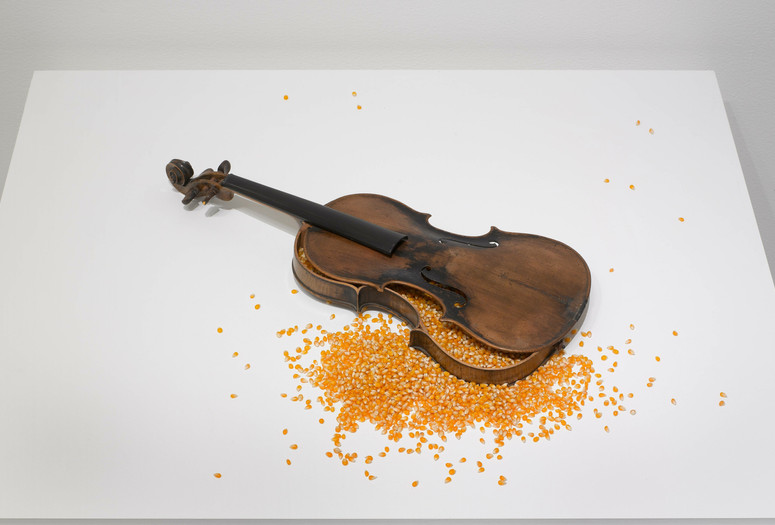Victor Grippo. Life, Death, Resurrection. 1980. Lead, violin, wood, beans, and corn. The Museum of Modern Art, New York. Latin American and Caribbean Fund and purchase Image description: A horizontally oriented installation photograph of a ruptured violin filled with dried kernels of yellow corn spilling out and scattered on a white pedestal.