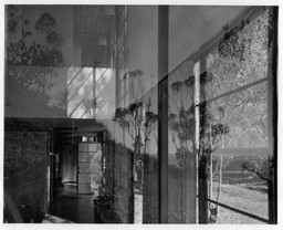 Charles Eames, Ray Eames. Case Study House no. 8 (Eames House), Los Angeles, CA. 1950. Gelatin Silver Prints. The Museum of Modern Art New York, Architecture & Design Study Center. Photographs by Charles Eames and Julius Shulman
