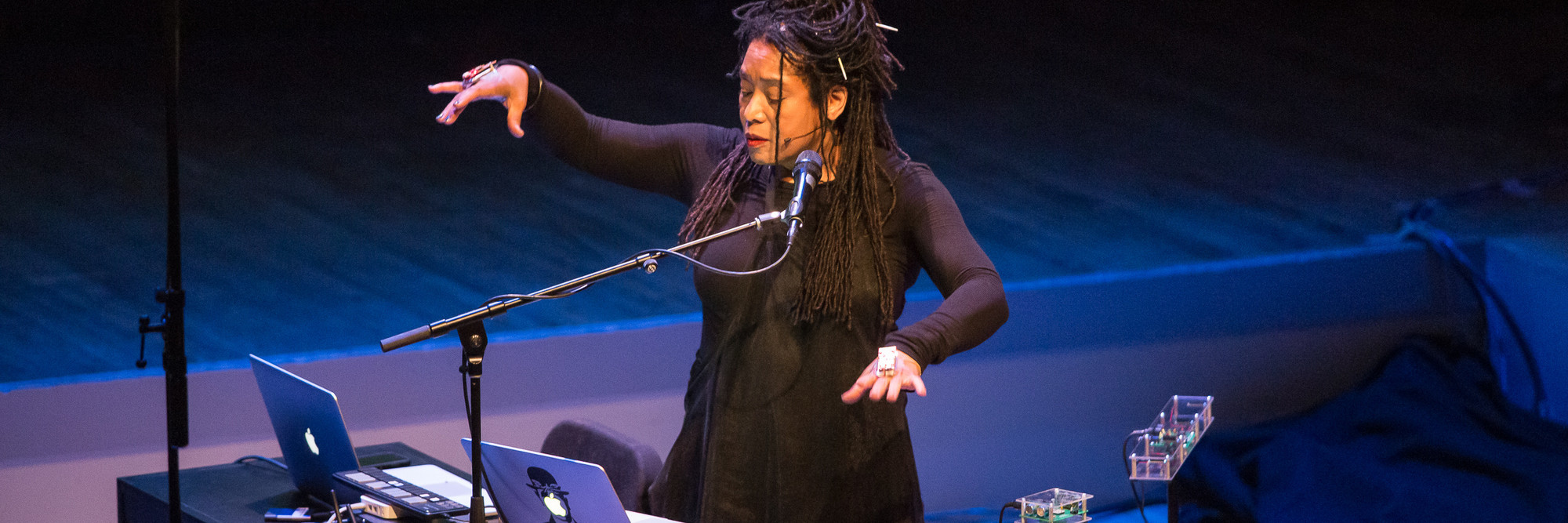 Pamela Z performing Other Rooms at Resonant Bodies Festival, 2018. Courtesy of the artist