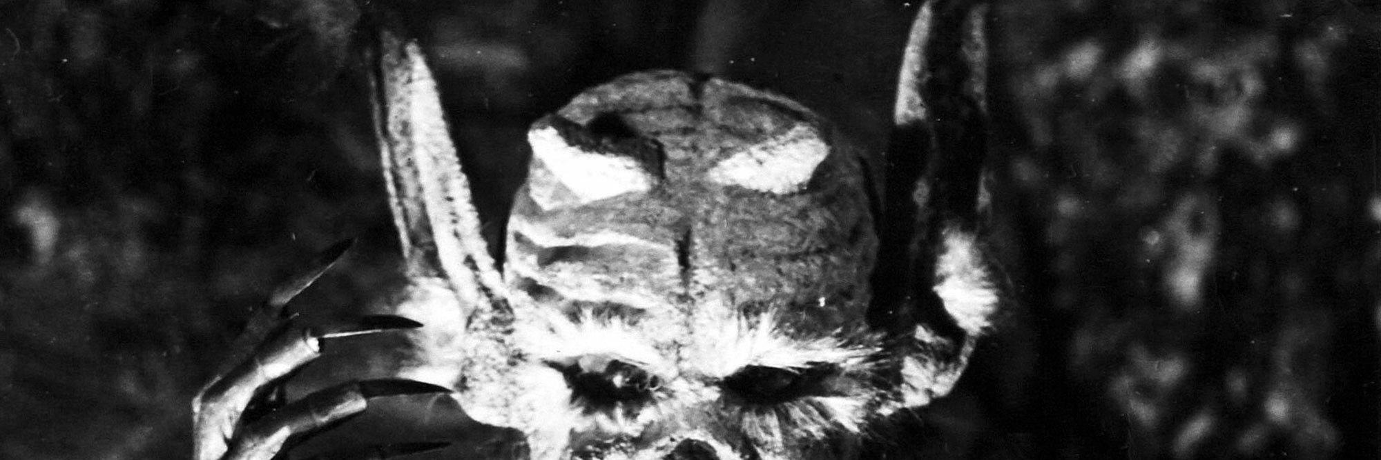 Häxan. 1922. Sweden/Denmark. Written and directed by Benjamin Christensen. Image courtesy Photofest
