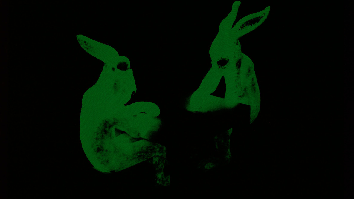 Philippe Parreno. Invisibleboy, Propaganda Rabbits, 2010 from Fade to Black 3. Screenprint, printed in phosphorescent ink, composition and sheet: 39 5/16 x 55 3/8&#34; (99.8 x 140.6 cm). Riva Castleman Endowment Fund