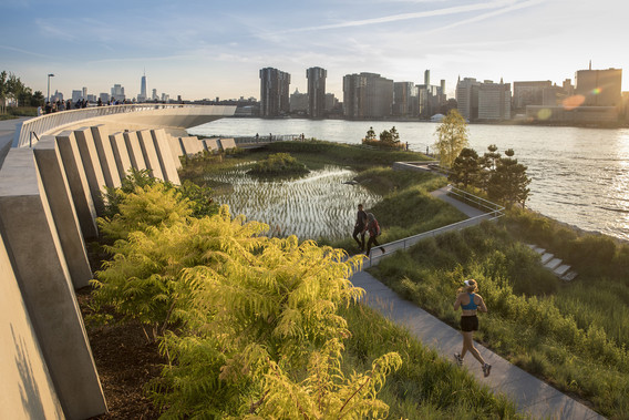 SWA/Balsley and Weiss/Manfredi with ARUP. Hunter’s Point South Waterfront Park. 2009–18. Wetland walkway and overlook