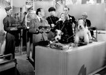 Easy Living. 1937. USA. Directed by Mitchell Leisen. Courtesy Paramount Pictures/Photofest