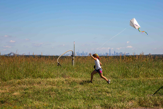 James Corner Field Operations. Freshkills Park. 2001–present