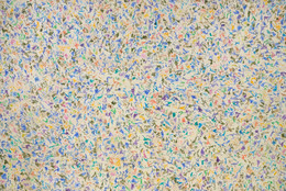Simon Hantaï. Untitled [Suite &#34;Blancs&#34;]. 1973. Acrylic on canvas, 10&#39; 1/4&#34; x 15&#39; 3 1/4&#34; (305.3 x 466.5 cm). Acquired through the Carol Buttenwieser Loeb and Arnold A. Saltzman Funds