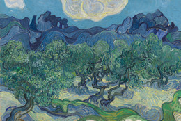 Vincent van Gogh. The Olive Trees. Saint Rémy, June-July 1889. Oil on canvas, 28 5/8 × 36&#34; (72.6 × 91.4 cm). Mrs. John Hay Whitney Bequest