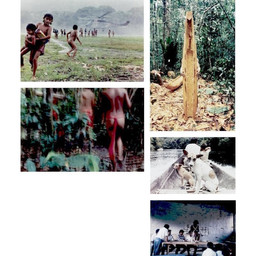 Intercambios, Amazonas Venezuela