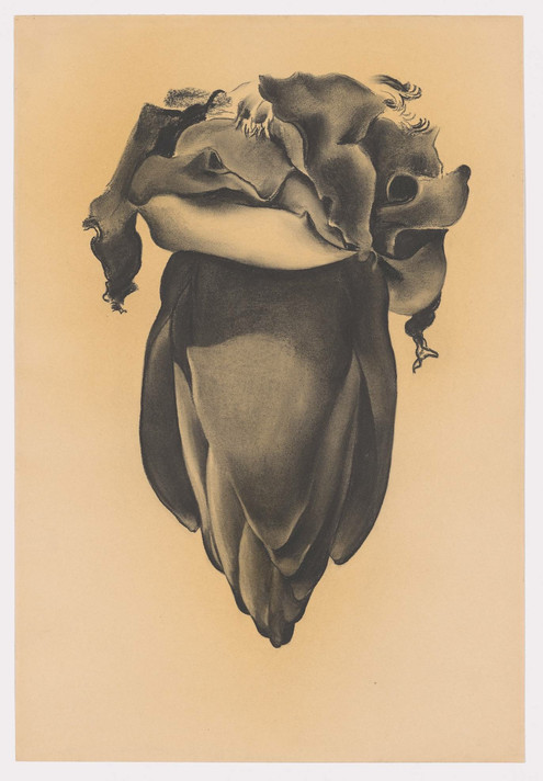 Georgia O’Keeffe. Banana Flower. 1934