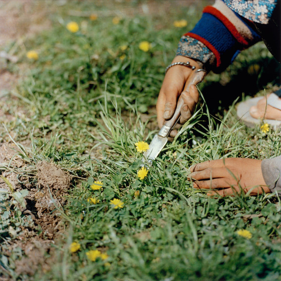 Sohrab Hura. Untitled. 2015–ongoing