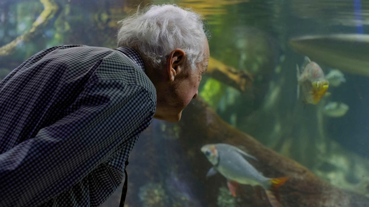 Peter Chermayeff at the aquarium