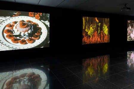 Installation view, Before Technicolor: Early Color on Film, The Museum of Modern Art, New York, May 20–September 4, 2023. Digital image © 2023 The Museum of Modern Art, New York