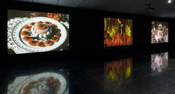 Installation view, Before Technicolor: Early Color on Film, The Museum of Modern Art, New York, May 20–September 4, 2023. Digital image © 2023 The Museum of Modern Art, New York