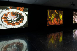 Installation view, Before Technicolor: Early Color on Film, The Museum of Modern Art, New York, May 20–September 4, 2023. Digital image © 2023 The Museum of Modern Art, New York