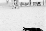 Akinbode Akinbiyi. Bar Beach, Victoria Island, Lagos from the series Sea Never Dry. 2003. Gelatin silver print, sheet: 23 5/8 × 23 5/8&#34; (60 × 60 cm). Courtesy of the artist. © Akinbode Akinbiyi