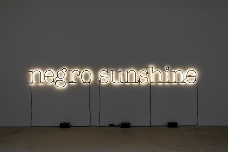 Glenn Ligon. Warm Broad Glow. 2005. © Glenn Ligon; courtesy of the artist, Hauser &amp; Wirth, New York, Thomas Dane, London, and Galerie Chantal Crousel, Paris Photo: Thomas Barratt