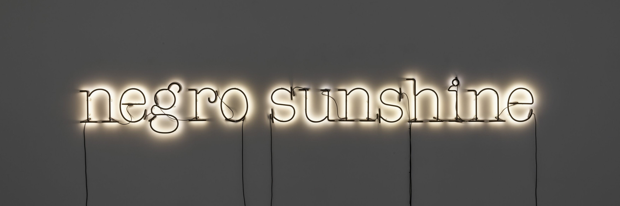 Glenn Ligon. Warm Broad Glow. 2005. © Glenn Ligon; courtesy of the artist, Hauser &amp; Wirth, New York, Thomas Dane, London, and Galerie Chantal Crousel, Paris Photo: Thomas Barratt