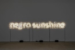 Glenn Ligon. Warm Broad Glow. 2005. © Glenn Ligon; courtesy of the artist, Hauser &amp; Wirth, New York, Thomas Dane, London, and Galerie Chantal Crousel, Paris Photo: Thomas Barratt