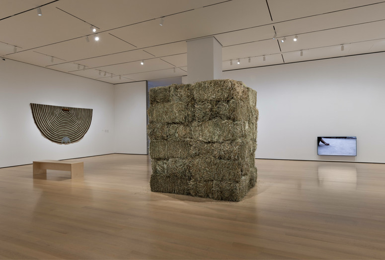 Installation view of Chosen Memories: Contemporary Latin American Art from the Patricia Phelps de Cisneros Gift and Beyond, The Museum of Modern Art, New York, April 30–September 9, 2023. Photo: Jonathan Dorado