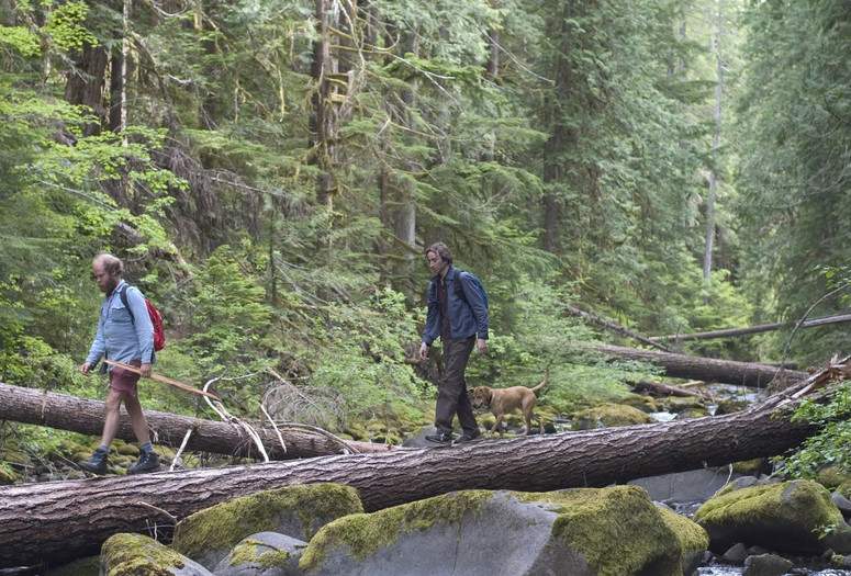Old Joy. 2006. USA. Directed by Kelly Reichardt. Courtesy Kino/Photofest