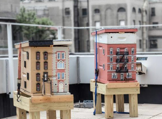Two beehives, modeled like city buildings, are kept on a nearby rooftop in case additional honeybees are required during the exhibition of Untilled. Beehives by Sasha Pinto