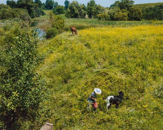 Stephen Shore. Bazaliya, Khmelnytska Province, Ukraine. July 27, 2012