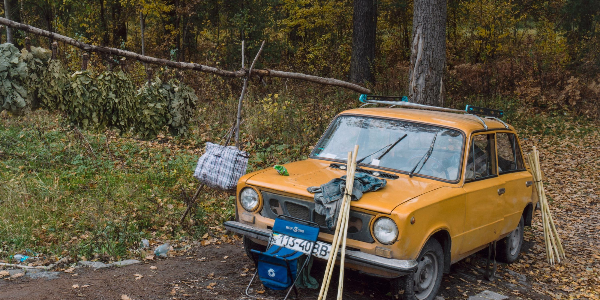 Stephen Shore. Shnuriv Lys, Kyivska Province, Ukraine. October 16, 2013. Chromogenic print, printed 2017, 16 × 20" (40.6 × 50.8 cm). The Museum of Modern Art, New York. Gift of the artist in honor of Quentin Bajac. © 2023 Stephen Shore